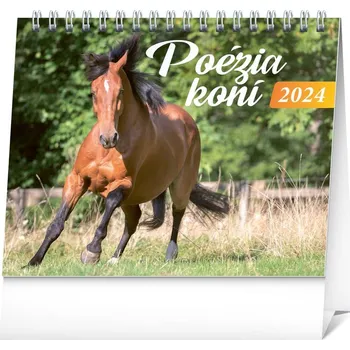 Kalendář Stolový kalendár Poézia koní 2024, 16,5 x 13 cm