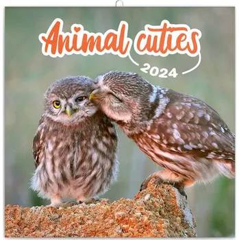 Kalendář Poznámkový kalendář Mláďata 2024, 30 x 30 cm