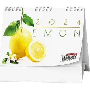 Kalendář Stolní kalendář - Lemon - mini
