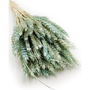 mech-mech.cz Sušená Pšenice - Mátová