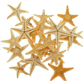 Dekorační mořské hvězdice 1 - 3cm /10ks/