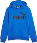 PUMA Essentials Big Logo Youth Hoodie…