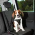 Postroj pro psa Trixie Bezpečnostní postroj do auta černý