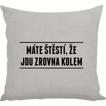 Polštář Polštář lněný 40x40 cm Máte štěstí, že jdu zrovna kolem
