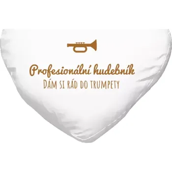 Polštář Polštář srdce 40x35 cm Dám si rád do trumpety