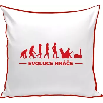 Polštář Polštář barevný 32x32 cm Evoluce - hráč