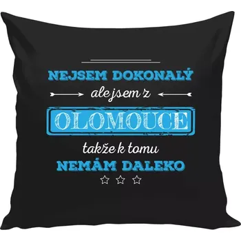 Polštář Polštář černý 40x40 cm Nejsem dokonalý, ale jsem z ...