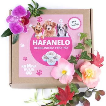 Pamlsek pro psa Krmiva Hulín BONBONIÉRA PRO PSÍ HOLKY - HAFANELO - Obalované Dortíčky 16 ks 500 g