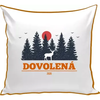 Polštář Polštář barevný 32x32 cm Dovolená, rok