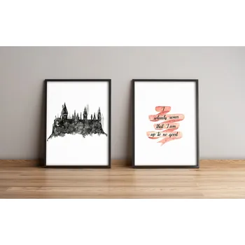 Bytová dekorace ASIR Obraz na MDF s rámem 2ks HARRY POTTER, BRADAVICE 36 x 51 cm