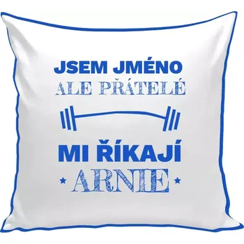 Polštář Polštář barevný 32x32 cm Jsem (jméno), ale přátelé mi říkají Arnie