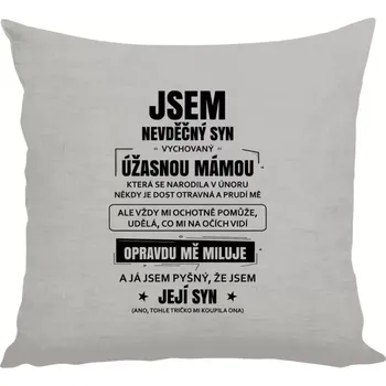 Polštář Polštář lněný 40x40 cm Mámin nevděčný syn