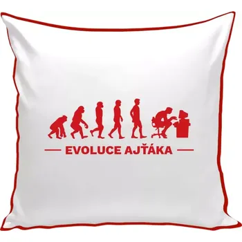 Polštář Polštář barevný 32x32 cm Evoluce - IT specialista