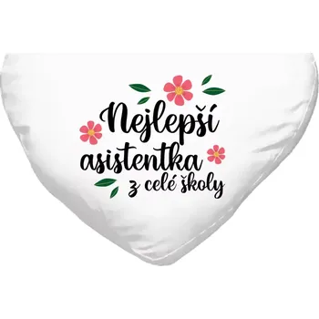 Polštář Polštář srdce 40x35 cm Nejlepší asistentka z celé školy
