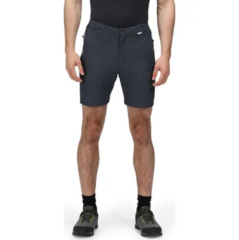 Pánské kraťasy Regatta MOUNTAIN II šedá/černá XXL