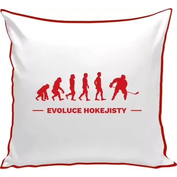 Polštář Polštář barevný 32x32 cm Evoluce - hokejista