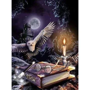 Figured'Art Diamantové malování Kouzelná sova s rámem 40 x 50 cm