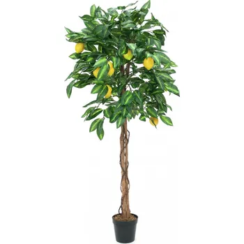 umělá květina Umělý strom Citrusovník - přírodní kmen, 180 cm