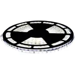 BERGE LED pásek - SMD 2835 - 50m - 4,8W/m - IP20 - studená bílá 50X30274