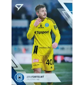Sběratelská karetní hra Jan Fortelný
