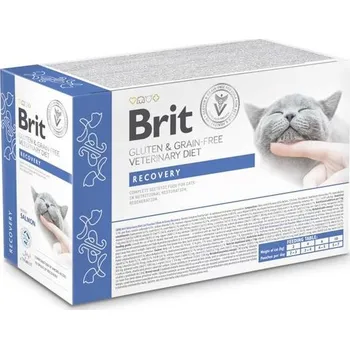 Brit Veterinary Diet Cat Pouch fillets in Gravy Recovery 12x85 g