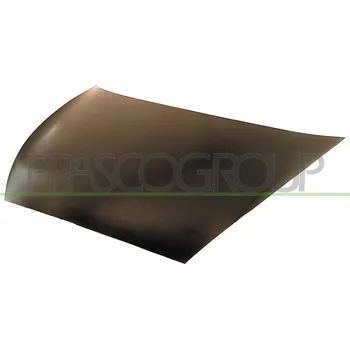 Kapota kapota motoru ORIGINÁL, FOR 1009228