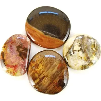 Masážní kámen Zkamenělé dřevo - masážní placička