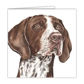 WaggyDogz Přání 01064 - 16x16cm - German Shorthaired Pointer