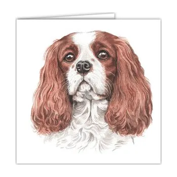 WaggyDogz Přání AC-181 Waggy Dogz