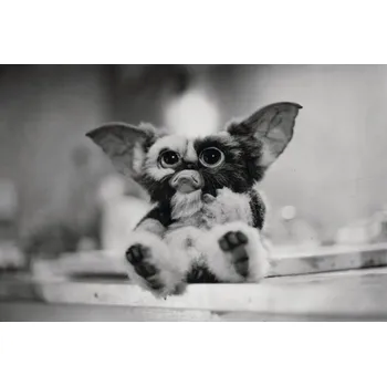 Plakát Plakát, Obraz - Gremlins