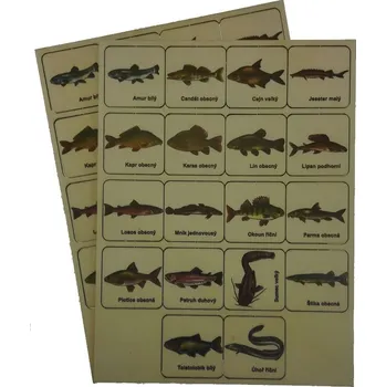 Pexeso Barevné pexeso RYBY