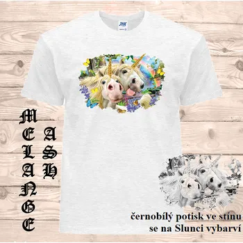 Pánské tričko panske-bavlnene_tricko_uv_potisk_jednorozec Barva: Ash melange - popelová směs, velikost: 5XL