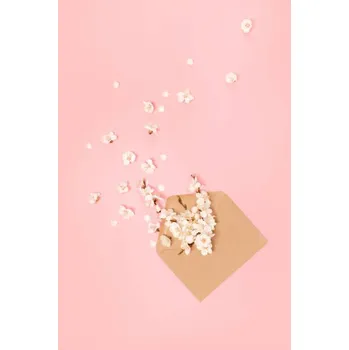 Plakát Plakát, Obraz - Spring greeting card with many white, Aleksandra Konoplia