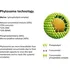 Přírodní produkt Superionherbs Curcumin Phytosome 90 cps.