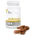 VetExpert VetAminex pro psy a kočky 60 cps.