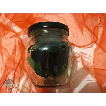 umělá květina Dubový skřítek Černé tajemství ve skle mýdlová růže