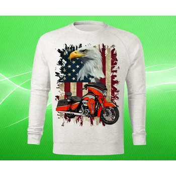 Pánská mikina mikina Harley Davidson IV pánská S (mikina s motorkou)