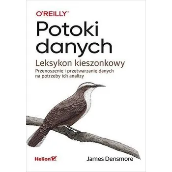Potoki danych. Leksykon kieszonkowy - Densmore, James