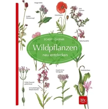 Wildpflanzen neu entdecken - Scherf, Gertrud