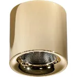 Azzardo AZ4326 stropní svítidlo bodové MANE 20W DIMM GO