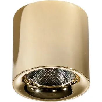 Azzardo AZ4326 stropní svítidlo bodové MANE 20W DIMM GO