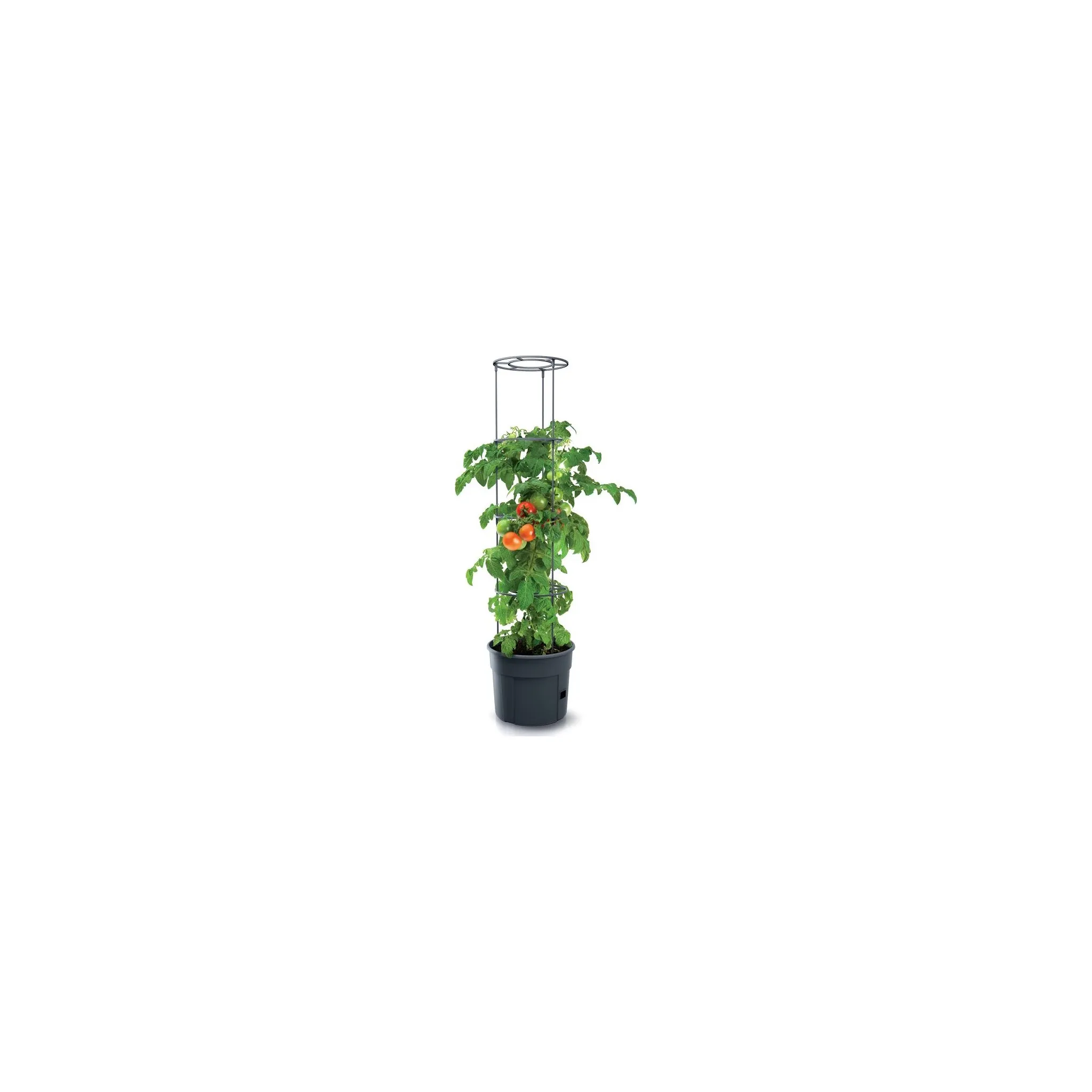 Fotografie 4 - Květináč Prosperplast Tomato Grower 29,5 cm antracitový