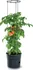 Květináč Prosperplast Tomato Grower 29,5 cm antracitový