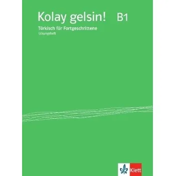 Lösungsheft zum Kurs- und Arbeitsbuch - Labasque, Nicolas