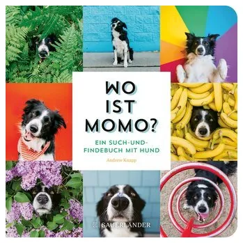 První čtění Wo ist Momo? - Knapp, Andrew