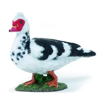 plyšák Kaczka Piżmówka