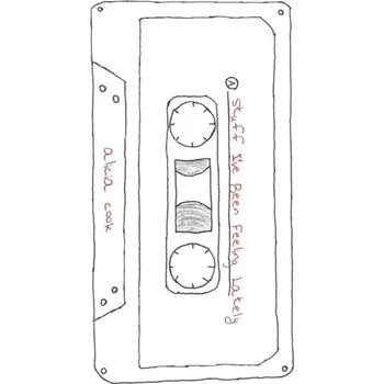 Kniha Stuff I've Been Feeling Lately - Cook, Alicia