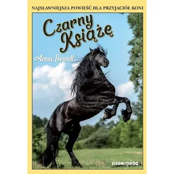 Czarny Książę - Sewell Anna