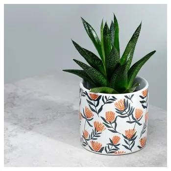 Květináč Keramický květináč do interiéru Květy Botanical Protea – malý