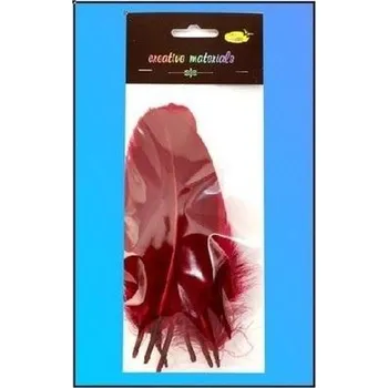 Set školních potřeb Piórka twarde bordowe 10szt